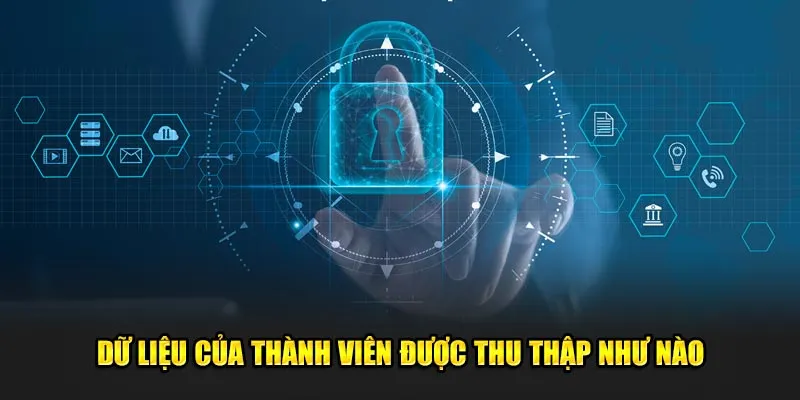 Dữ liệu của thành viên được thu thập như nào tại trang web cá cược