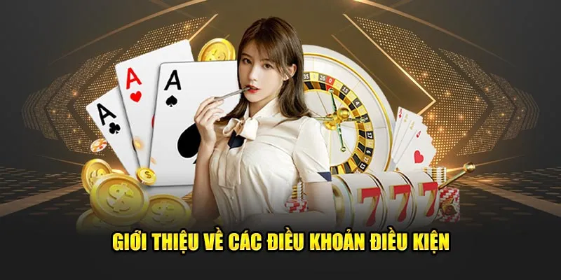 Những điều cần tìm hiểu về điều khoản điều kiện