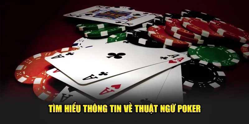 Tìm hiểu thông tin về thuật ngữ poker